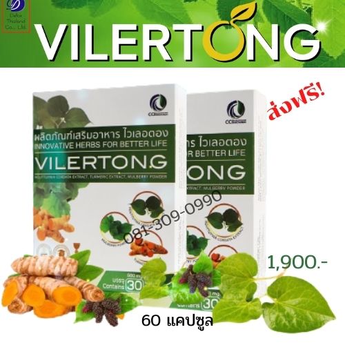 VILERTONG 2
