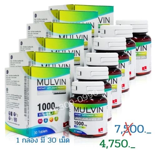 วิตามินรวม Mulvin 6