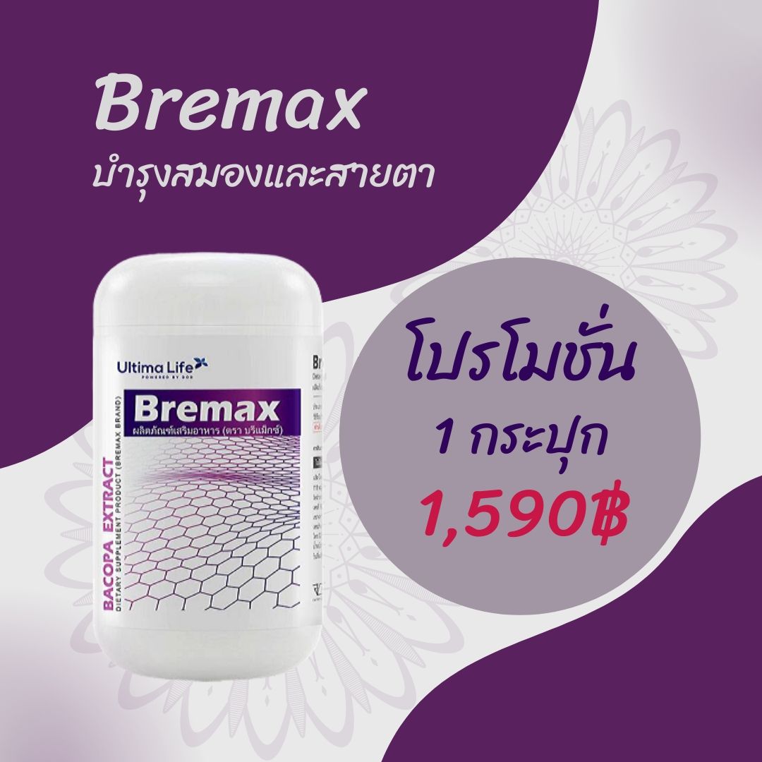 Bremax -01
