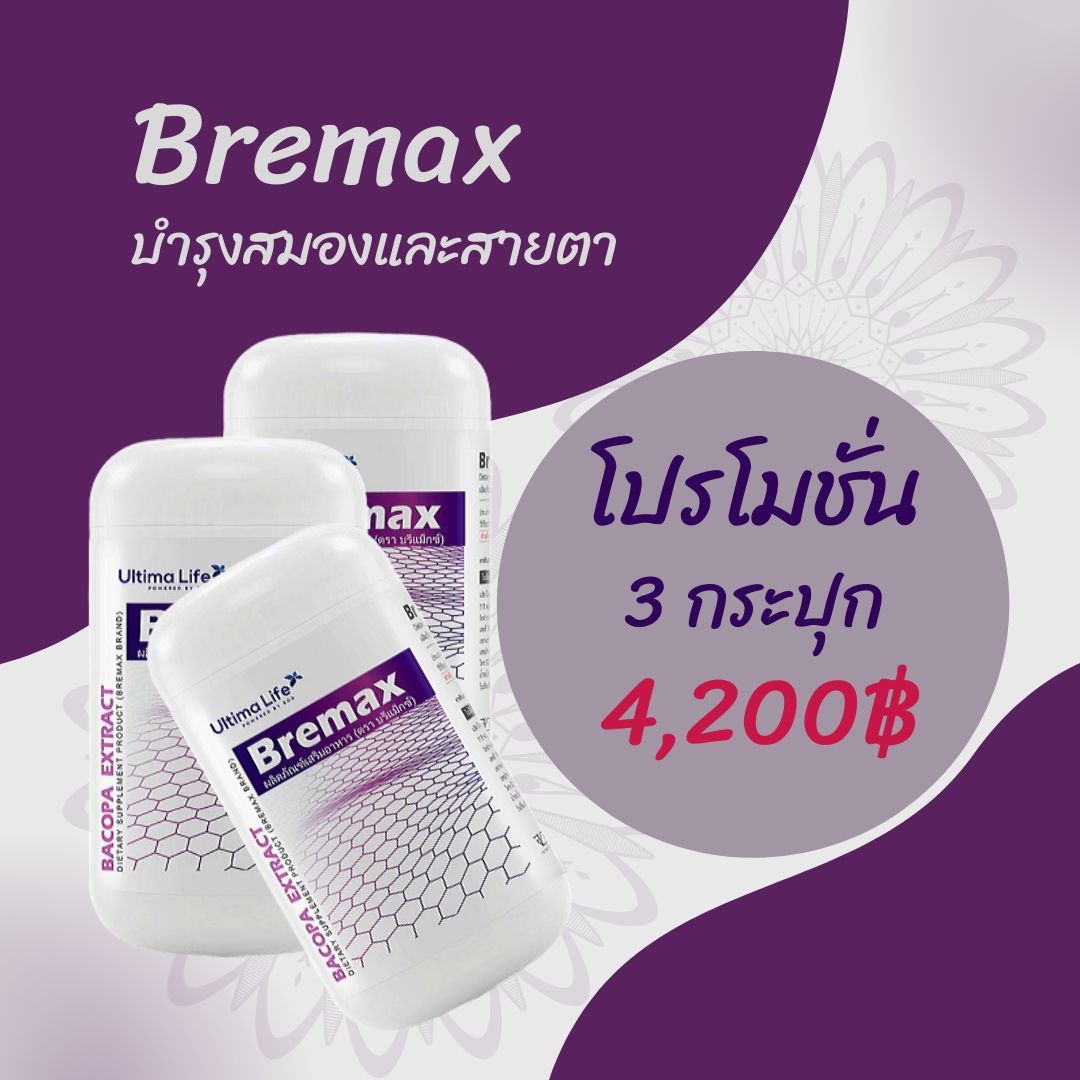 Bremax -03