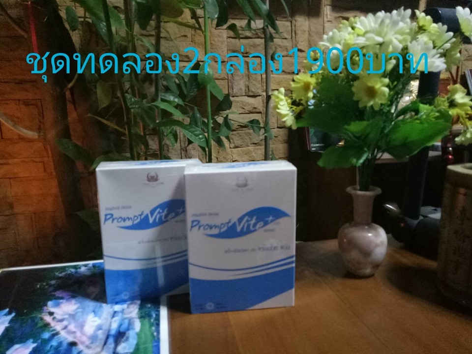 prompt viet plus ชุดทดลอง 2 กล่อง