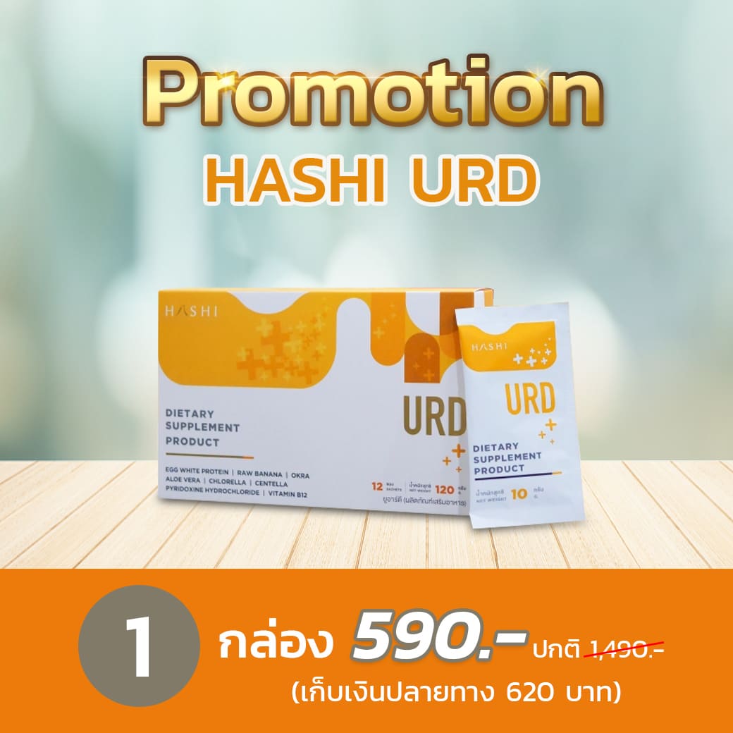 Hashi URD แบบ 1 กล่อง