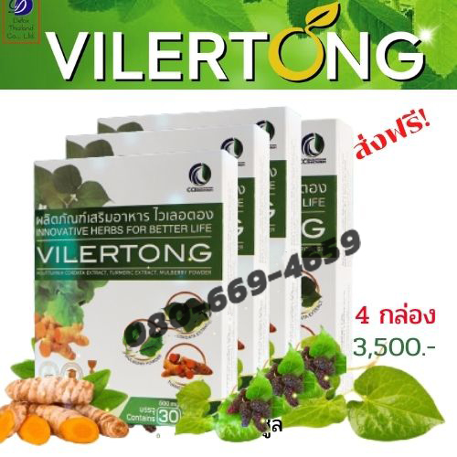 VILERTONG 4