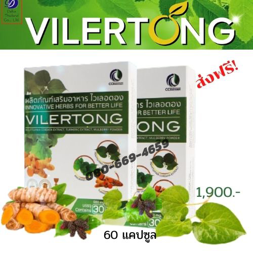VILERTONG 2
