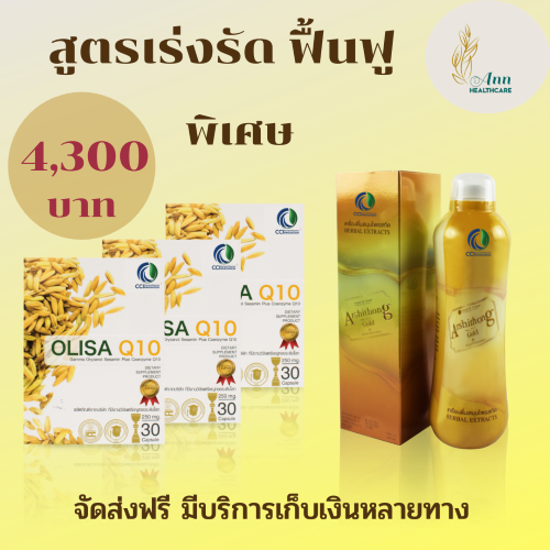 เร่งรัดฟื้นฟู ระบบหลอดเลือด สมอง หัวใจ