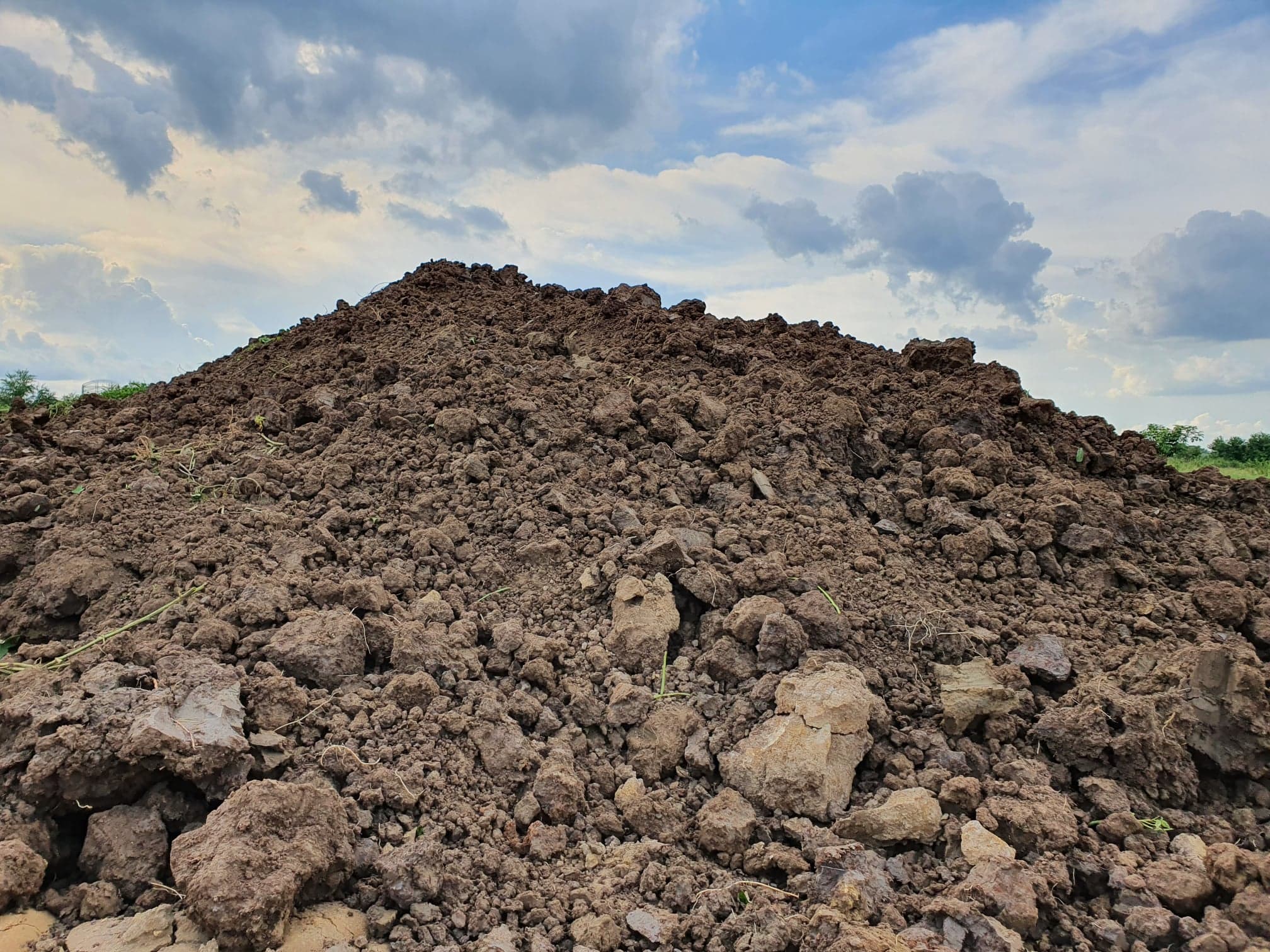 หน้าดินนาแท้ 100%