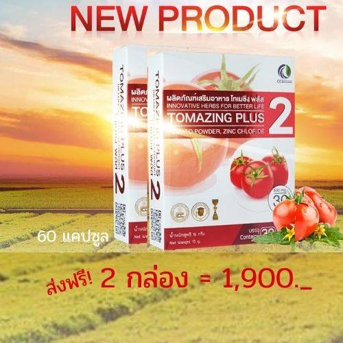 2.โทเมซิง พลัส2