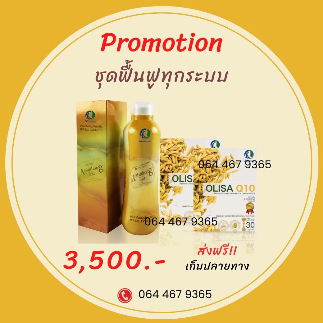 olisa q10/2 +อาชิตองโกลด์ 1