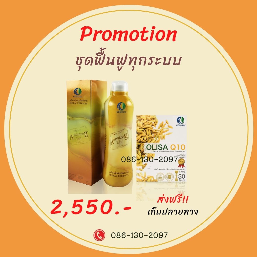 olisa + อาชิตองโกลด์ ชุดเล็ก